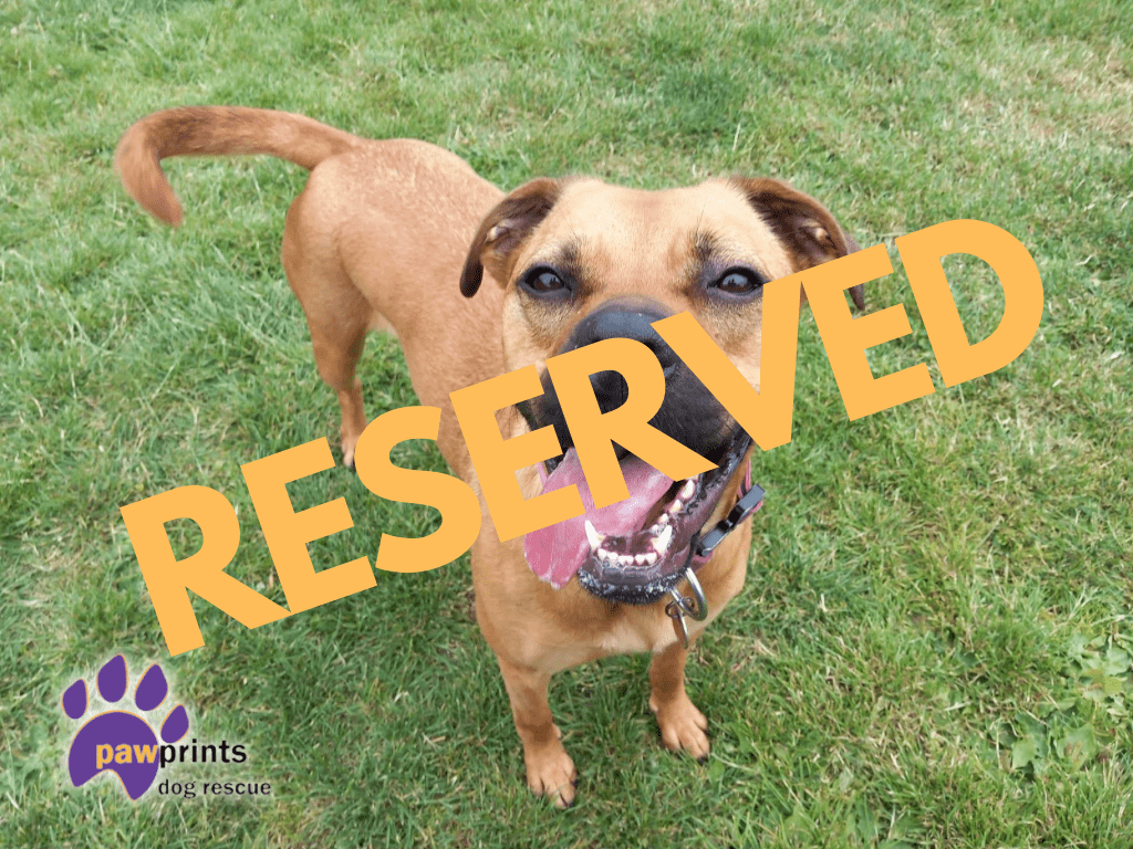 Reserved - Emma reserved