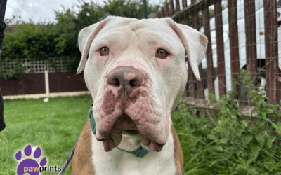 Little John aka “LJ”