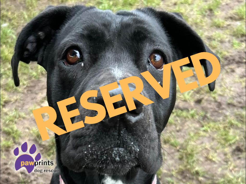 eleanor reserved