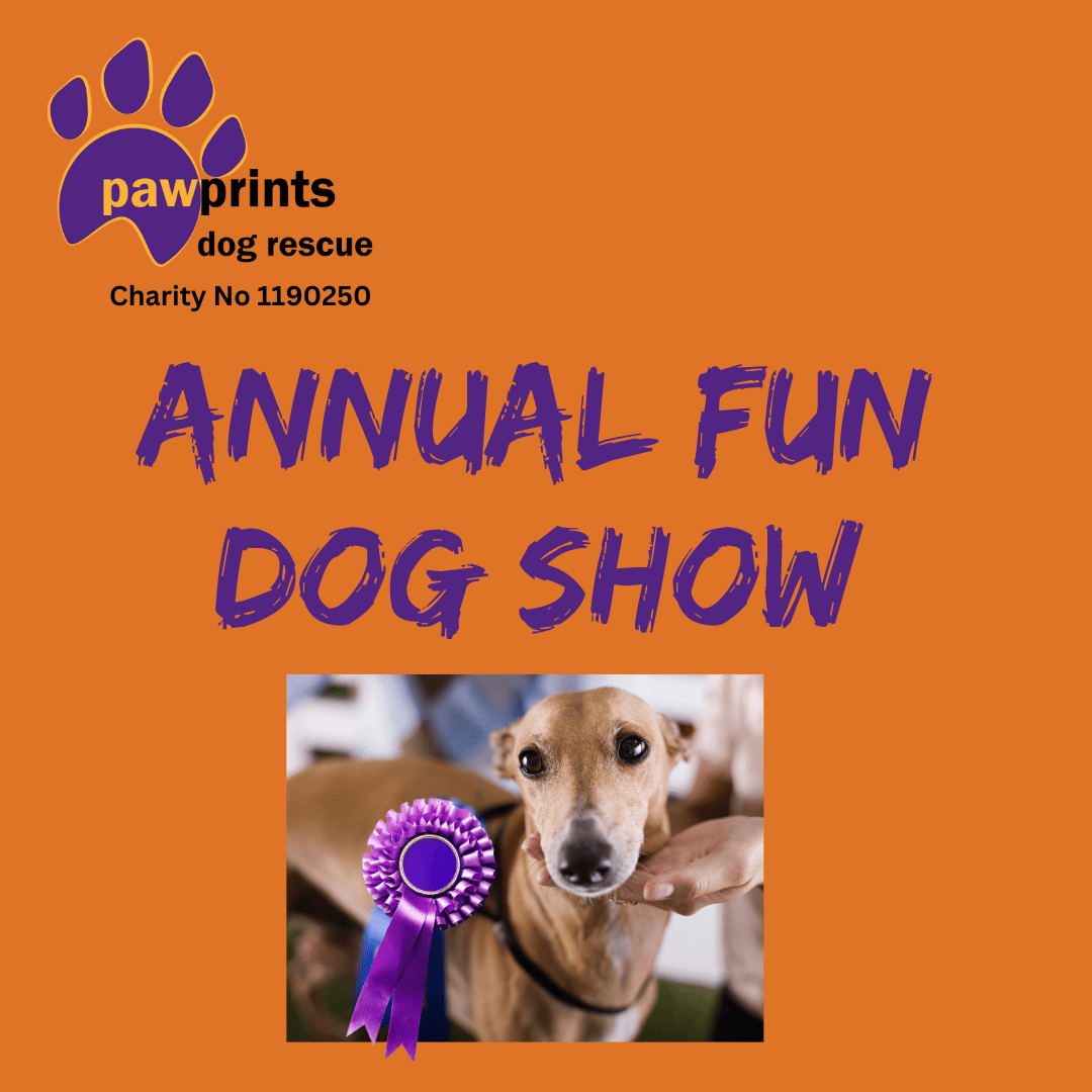 Copy of Pawprints Sponsored Walk Socials