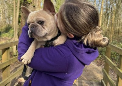 Dougie available for adoption