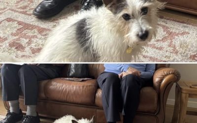 So long ..farewell…goodbye from Bryn 💜