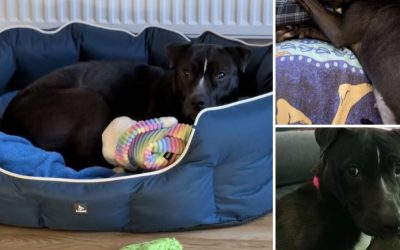 Erin brightens up your day 💜♥️