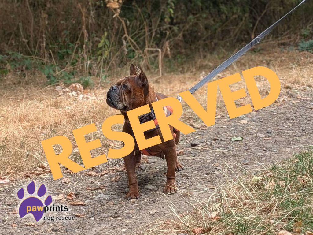 Barbara reserved