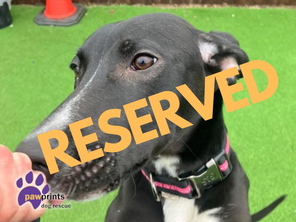 Juliet reserved