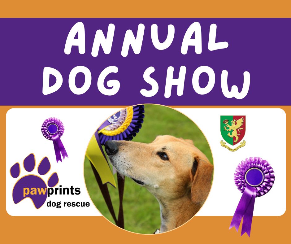 Pawprints Dog Show Image