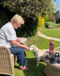 Biscuit adopted