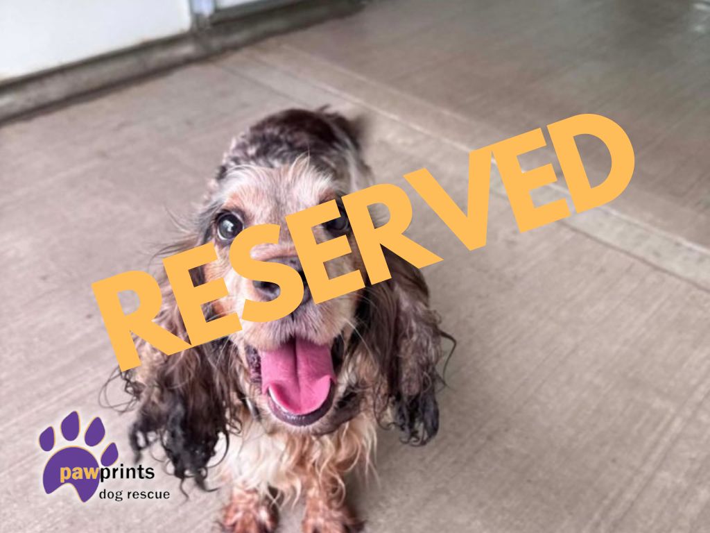 Meadow reserved