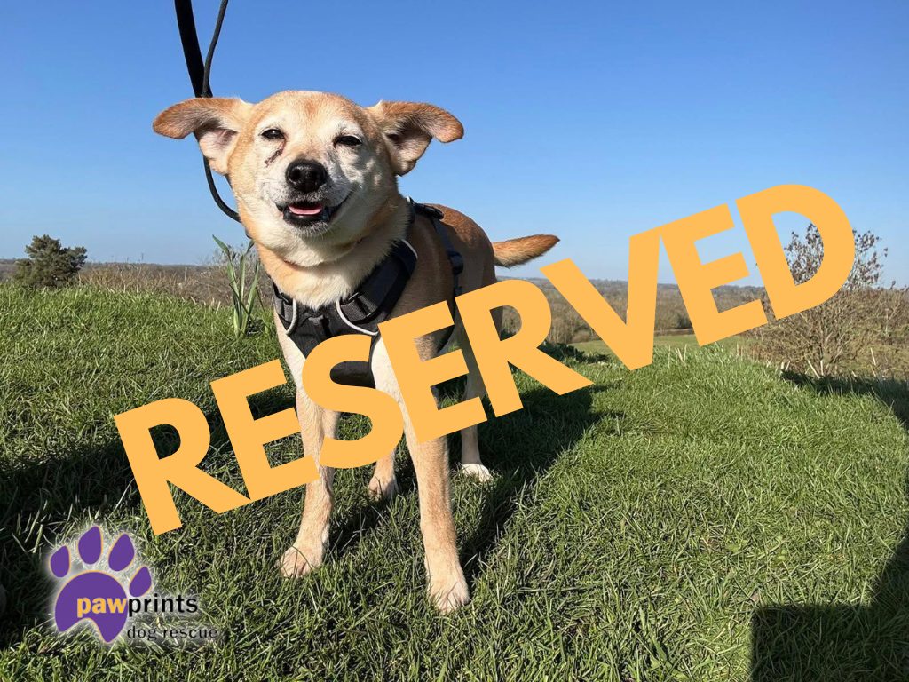 Rupert has been reserved