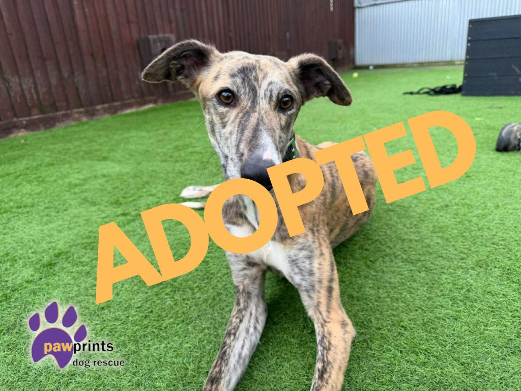 Zephyr reserved