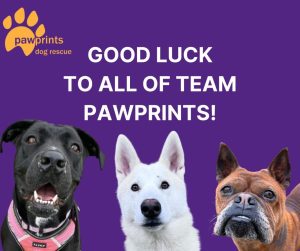 Pawprints dogs wish the Two Castle Run team good luck 