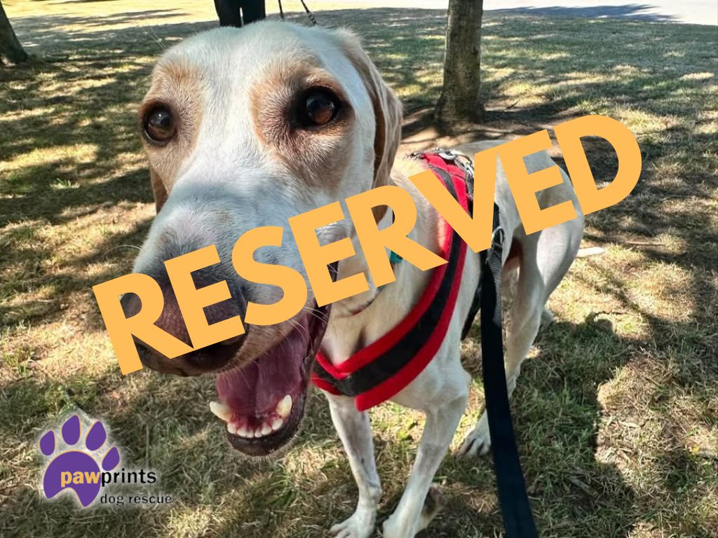 Maverick reserved