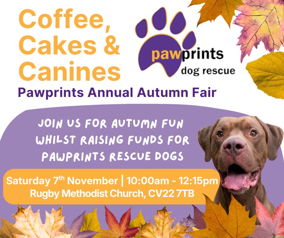 Pawprints Autumn Fair - Cakes, Coffee & Canines. Saturday 7 November - 10:00am - 12:15pm. Featuring autumn leaves and big, brown rescue dog available for adoption with Pawprints, called Harry.